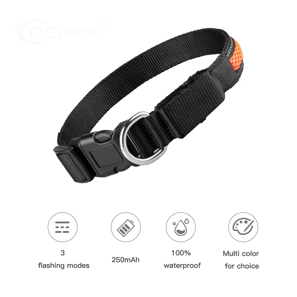 Nylon Dog Collar Night Safety LED Glow Flash /Waterproof