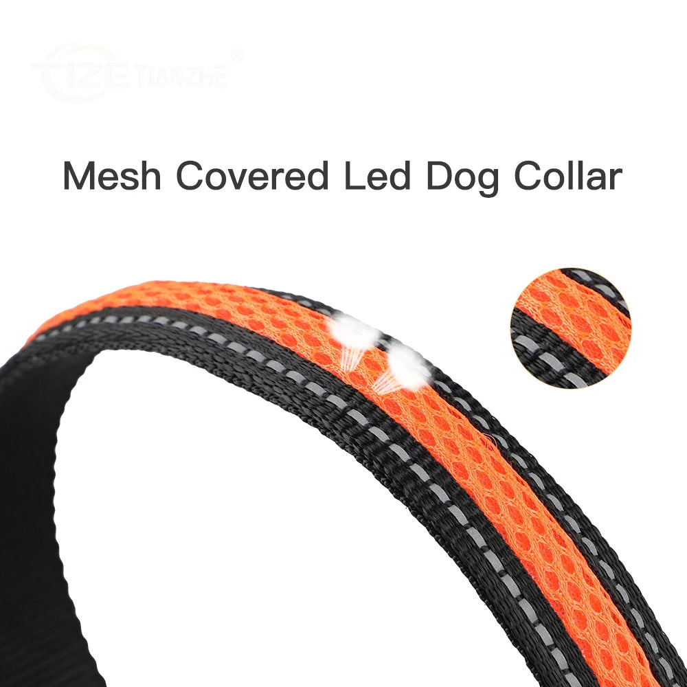 Nylon Dog Collar Night Safety LED Glow Flash /Waterproof