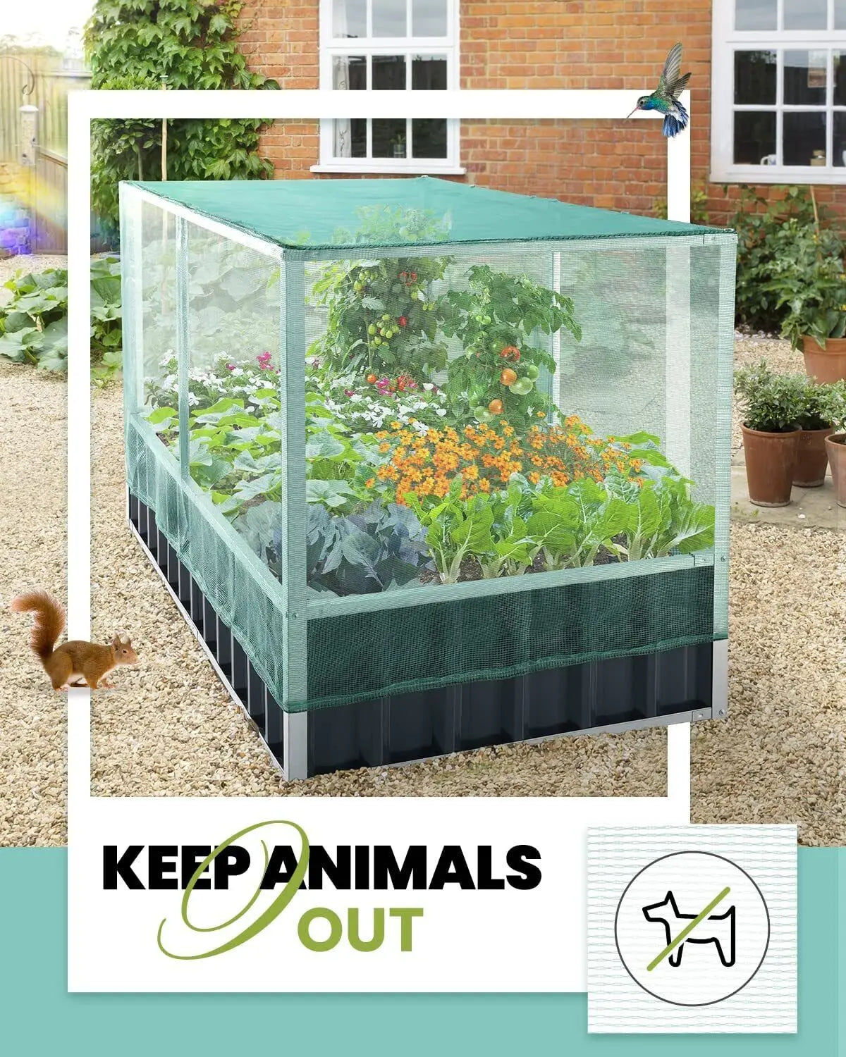 Steel Raised Garden Bed with Anti Bird Protection Netting