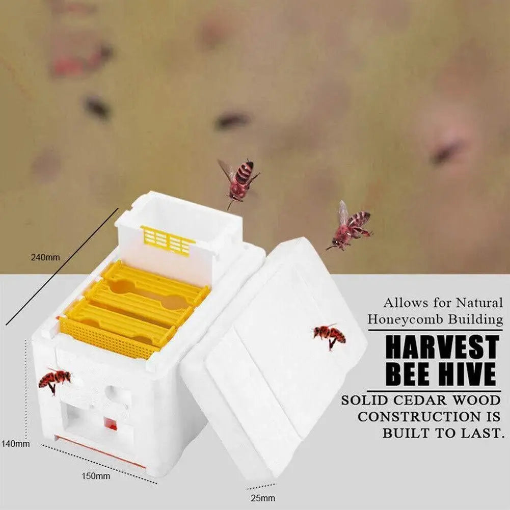 1 Set Queen Bee Rearing Mating Beehive Foam Beehives Nuc Harvest Pollination Tools